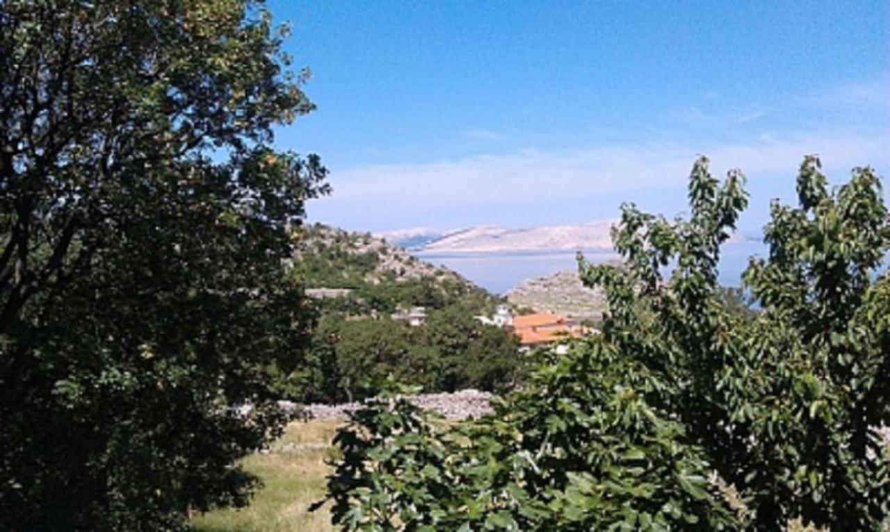 סווטי יוראי Apartments Nagj מראה חיצוני תמונה